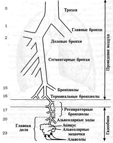 Механическая очистка воздуха