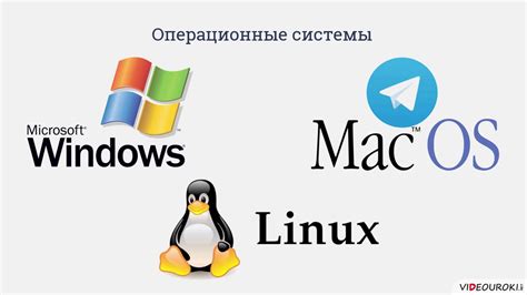 Минорная версия программного обеспечения: что это и как она влияет?