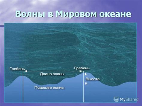 Мировой океан: общая площадь и объем