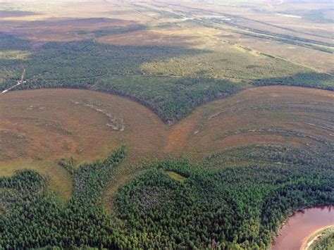 Мистическое значение создания тайной крепости в мире снов