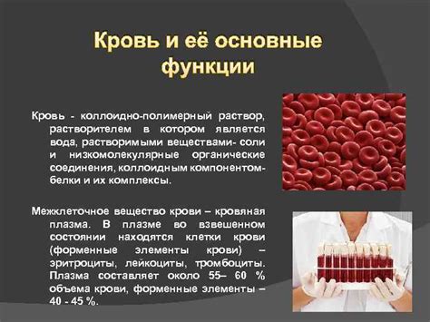 Мифологические и культурные аспекты сна, в котором является кровь