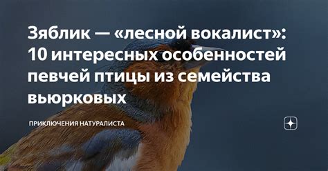 Мифы и символика певчей птицы: разнообразие толкований в разных общностях