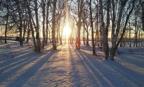 Мифы о суровом взгляде мужчины