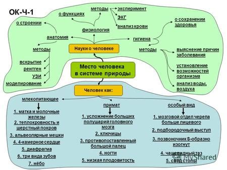 Миф о человеке как короне природы