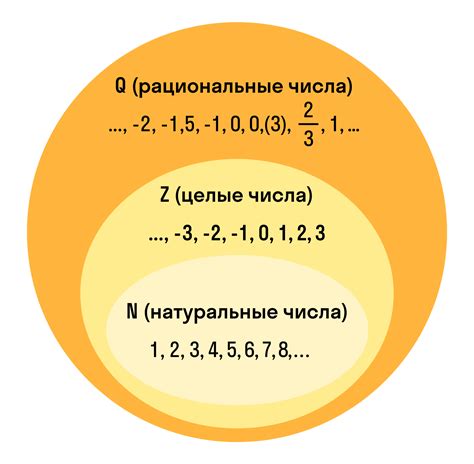 Множество рациональных чисел