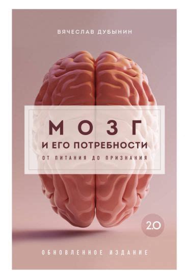 Мозг и его развитие: достоинства разгадывания интеллектуальных головоломок