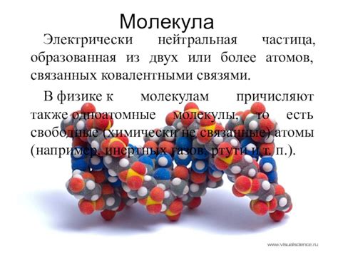 Молекулярный уровень в биологии