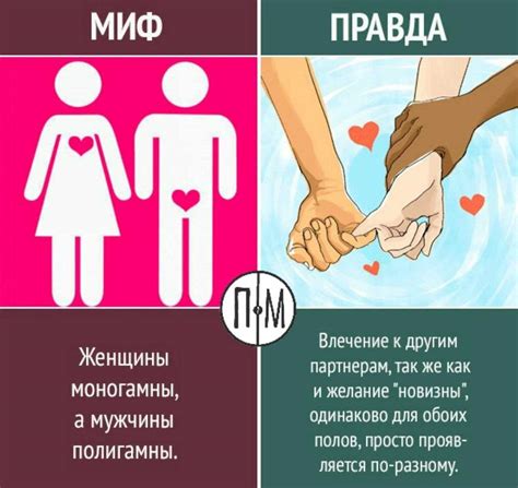 Моногамный мужчина: понятие и значение