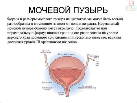 Мочевой ретенцией у женщин: причины и рекомендации