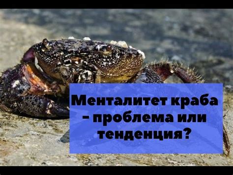 Мочить краба: что это значит и как делается