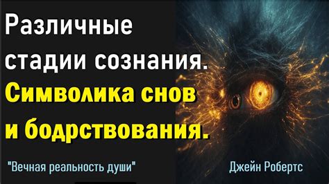 Мудрость, заложенная временем: символика снов о вековых растениях