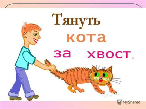 Мудрые наставления: где и когда применять выражение "тянуть кота за хвост"