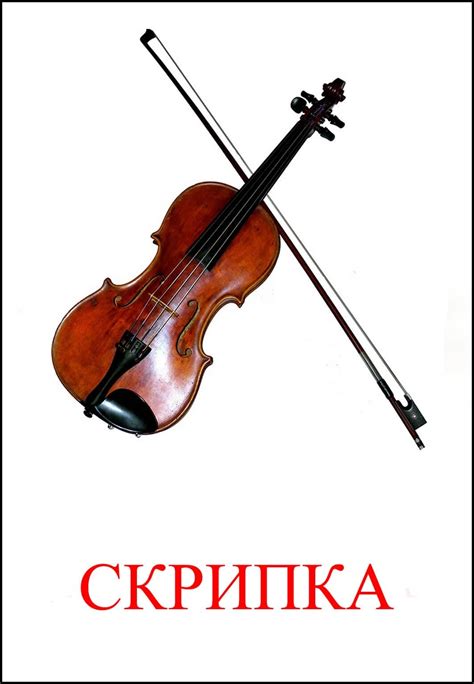 Музыкальный инструмент с звуком струнной скрипки в сновидениях одинокой дамы: стимул для самовыражения и эмоционального творчества