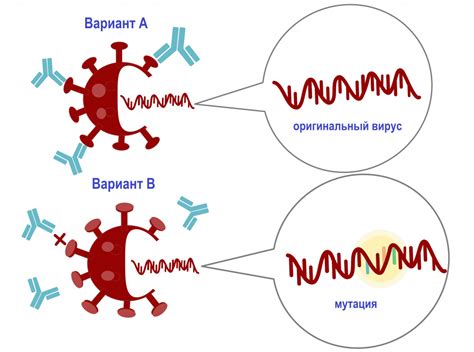 Мутация вируса: что это