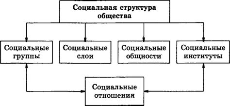 Мыши и их социальная структура