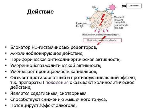 М холиноблокирующее действие - что это значит?