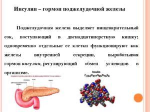 НПХ инсулин: основные принципы искусственного гормона