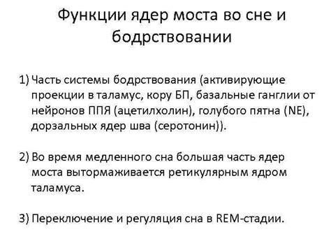 Наблюдение моста во время сна: сущность и значение этого опыта