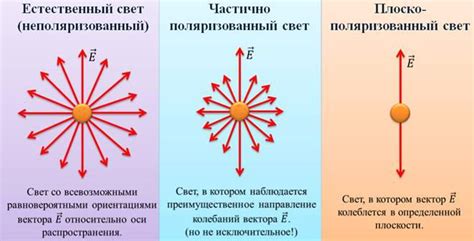 Нагель - определение и суть явления