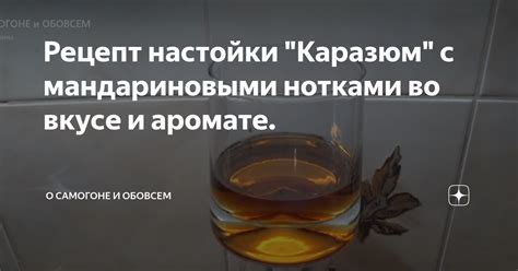 Наливка vs настойка: отличия во вкусе и аромате