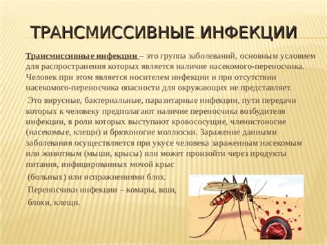 Наличие насекомого в пище в сновидении: сложность в делах либо отношениях