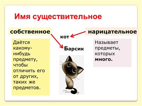 Нарицательное и ненарицательное – определение и примеры