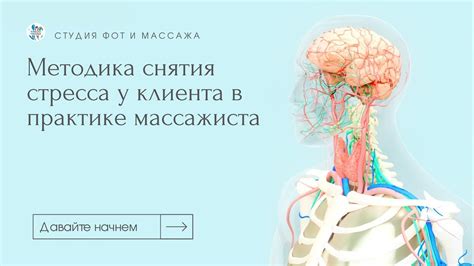 Нарния как способ восстановления эмоционального баланса