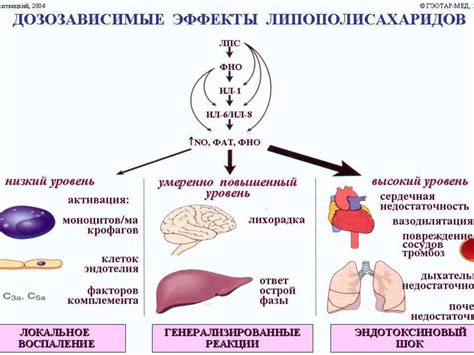 Нарушение внутреннего баланса организма