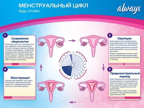 Нарушение менструального цикла у женщин: причины, симптомы и методы лечения