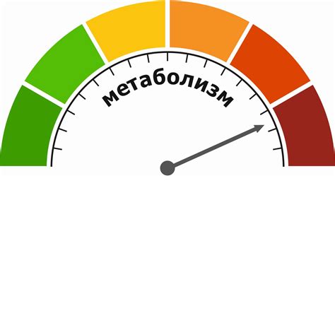 Нарушение обмена веществ и набор лишнего веса