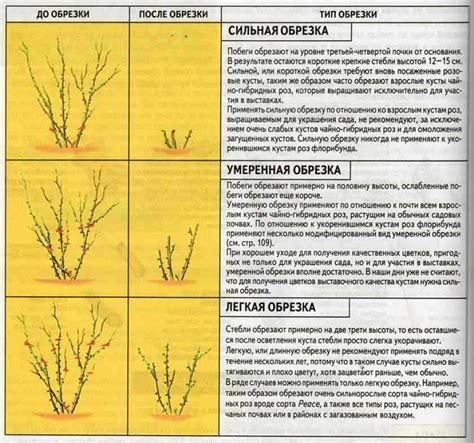 Нарушение правил по удобрению