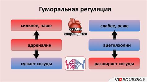 Нарушение работы сердца и сосудов