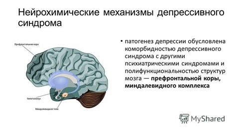 Нарушения в развитии мозга и нейрохимические аномалии