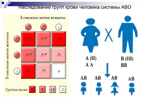 Наследование и распространение отрицательной группы крови