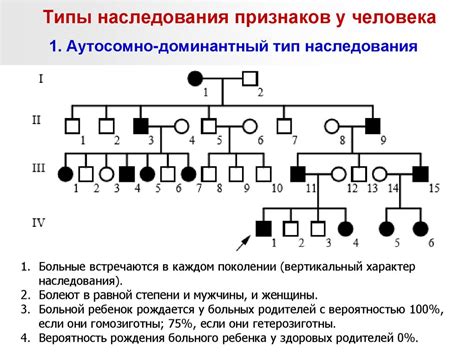 Наследование и родословная числа 54 в загадочном смысле