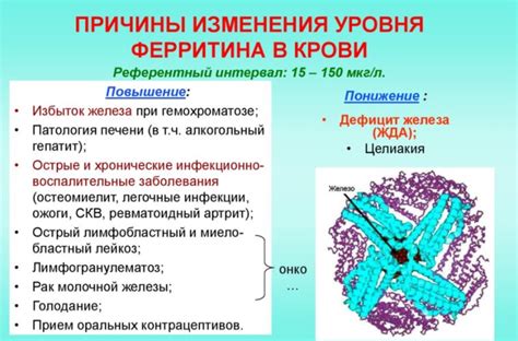 Наследственное влияние на уровень ферритина 106