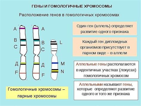 Наследственность и генетика: