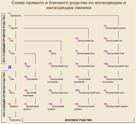 Наследственные связи в семье