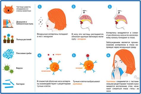 Насморк и чихание - признаки аллергических реакций