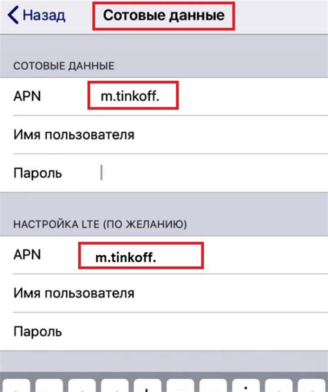 Настройка MTS Internet APN на устройствах на iOS