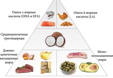 Насыщенные жирные кислоты в пище: как они влияют на организм?