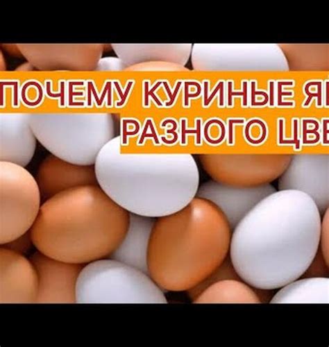 Натирание между яйцами: 7 способов справиться с этой проблемой