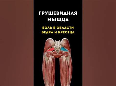 Натирания ягодиц: основная причина и симптомы