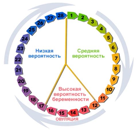 Начало срока: с какого числа следует начинать отсчет?