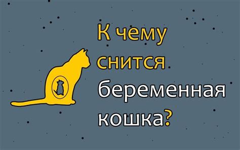 На что говорит сон о беременной кошке: предзнаменование грядущих изменений