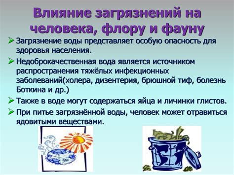 Негативное влияние на морскую флору и фауну