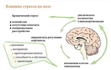 Негативные последствия непонимания пошлых сновидений