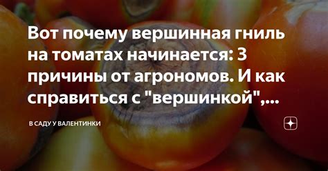 Недостатки спиннинга с полой вершинкой и как с ними справиться