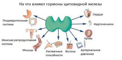 Недостаток гормонов щитовидной железы