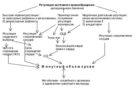 Недостаток кровообращения как одна из основных причин